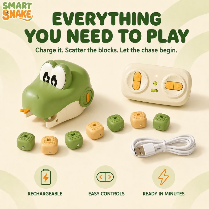 Smart Snake, remote, magnetic blocks and USB cable